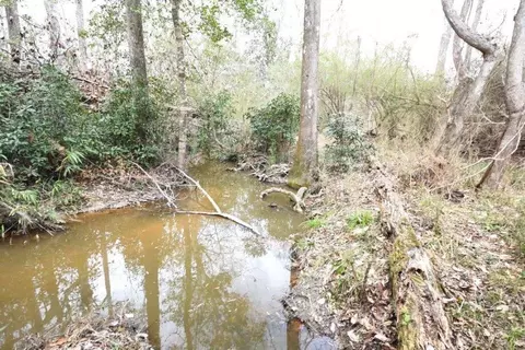 47 Hart Rd, Sandy Hook, MS 39478 photo 29