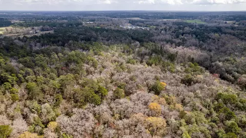 8 21 - Highway 44, Sumrall, MS 39482 photo 17