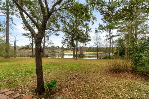 30 Henrys Pl, Purvis, MS 39475 photo 38