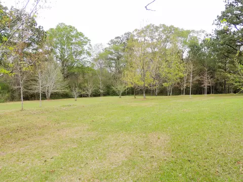 357 Baker Rd, Purvis, MS 39475 photo 16
