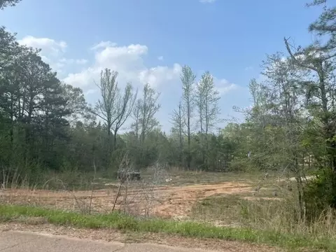 0 SE 13th St, Magee, MS 39111