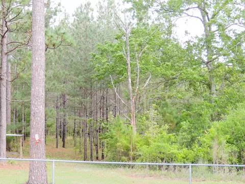 479 Beaver Lake Rd, Purvis, MS 39475 photo 16