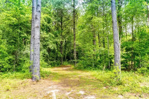 28 Tommy Red Rd, Sumrall, MS 39482 photo 42