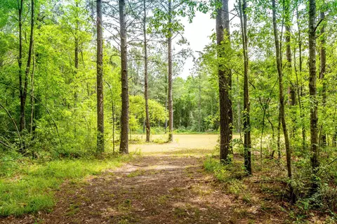 28 Tommy Red Rd, Sumrall, MS 39482 photo 44