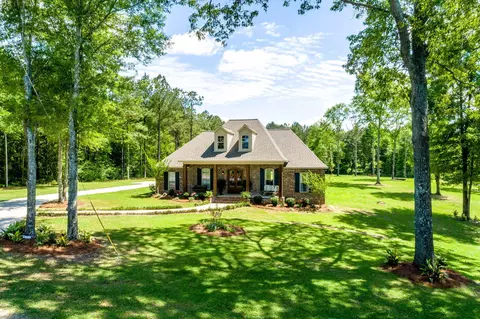28 Tommy Red Rd, Sumrall, MS 39482 photo 60