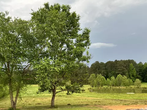 148 Doc Gore Rd, Sumrall, MS 39482 photo 27