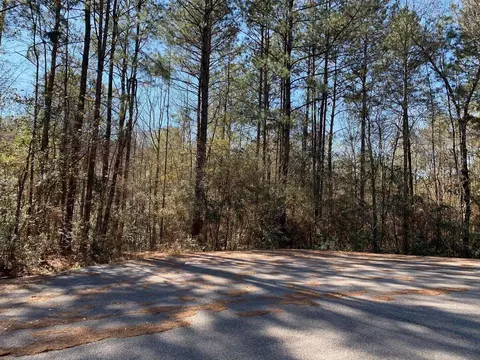 lot6 7 Bayberry Loop, Purvis, MS 39402 photo 1