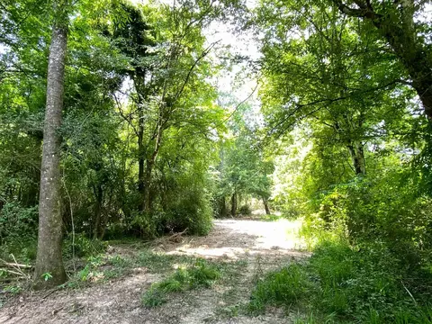 110 Highway 35, Mount Olive, MS 39119 photo 46