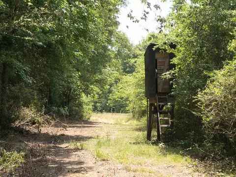 110 Highway 35, Mount Olive, MS 39119 photo 35