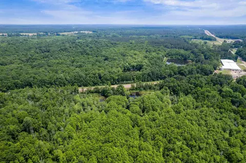 110 Highway 35, Mount Olive, MS 39119 photo 6