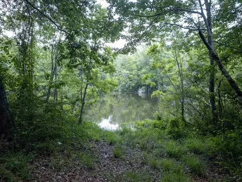 110 Highway 35, Mount Olive, MS 39119 photo 31