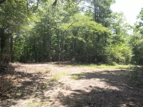 110 Highway 35, Mount Olive, MS 39119 photo 30
