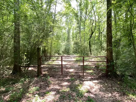 110 Highway 35, Mount Olive, MS 39119 photo 39