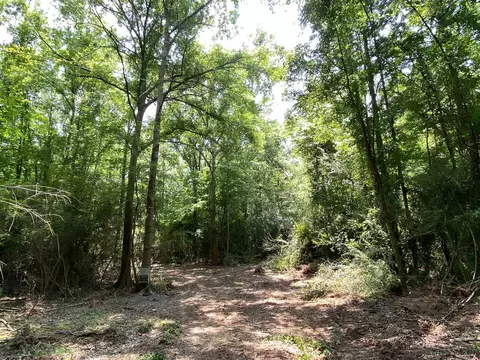 110 Highway 35, Mount Olive, MS 39119 photo 42