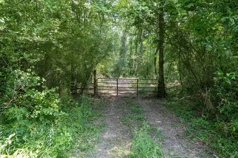 110 Highway 35, Mount Olive, MS 39119 photo 27