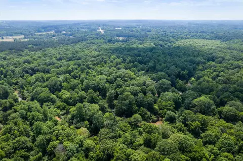 110 Highway 35, Mount Olive, MS 39119 photo 16
