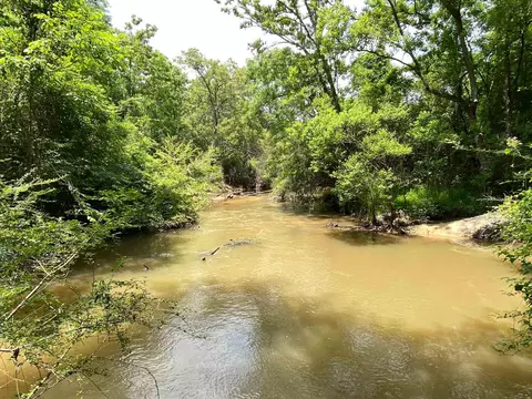 110 Highway 35, Mount Olive, MS 39119 photo 43