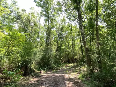 110 Highway 35, Mount Olive, MS 39119 photo 40