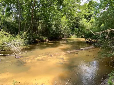110 Highway 35, Mount Olive, MS 39119 photo 47