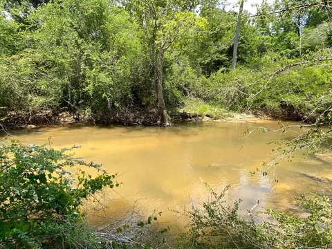 110 Highway 35, Mount Olive, MS 39119 photo 45