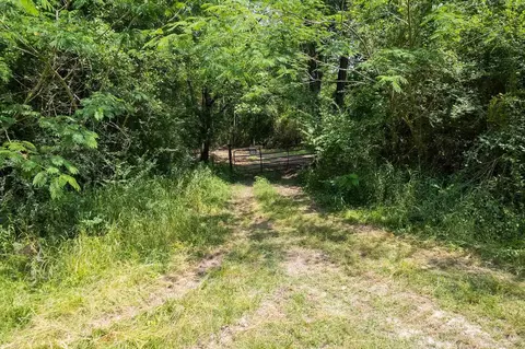 110 Highway 35, Mount Olive, MS 39119 photo 23