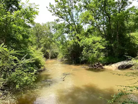 110 Highway 35, Mount Olive, MS 39119 photo 44