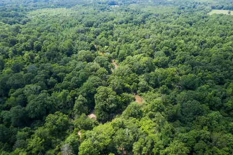 110 Highway 35, Mount Olive, MS 39119 photo 19