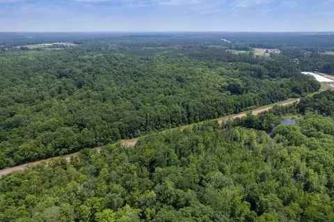 110 Highway 35, Mount Olive, MS 39119 photo 5