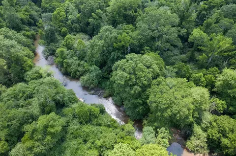 110 Highway 35, Mount Olive, MS 39119 photo 18
