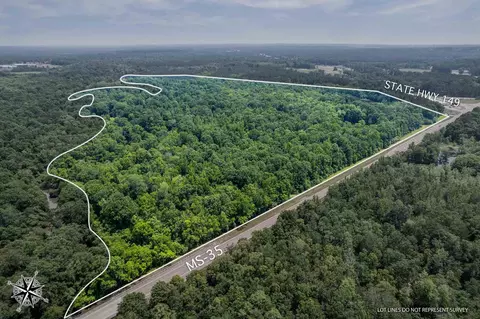 110 Highway 35, Mount Olive, MS 39119 photo 1