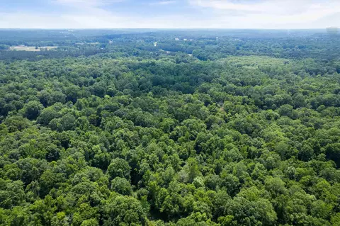110 Highway 35, Mount Olive, MS 39119 photo 15