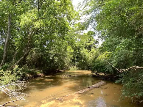 110 Highway 35, Mount Olive, MS 39119 photo 48