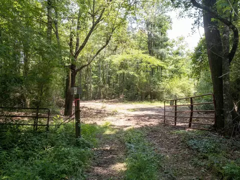 110 Highway 35, Mount Olive, MS 39119 photo 29