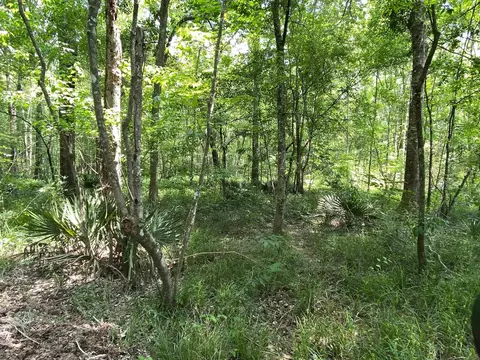110 Highway 35, Mount Olive, MS 39119 photo 36