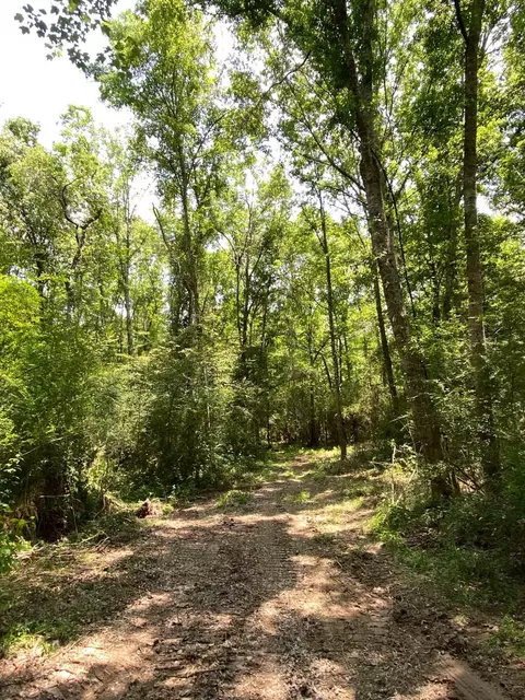 110 Highway 35, Mount Olive, MS 39119 photo 41