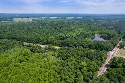 110 Highway 35, Mount Olive, MS 39119 photo 7