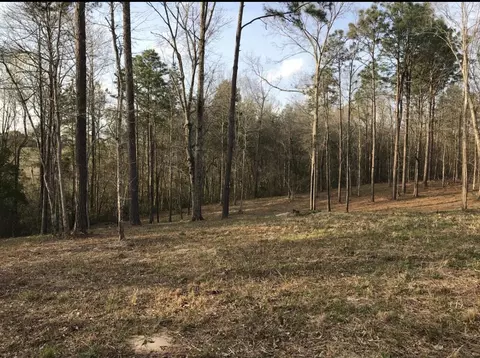48 Blain Rd, Purvis, MS 39475 photo 2