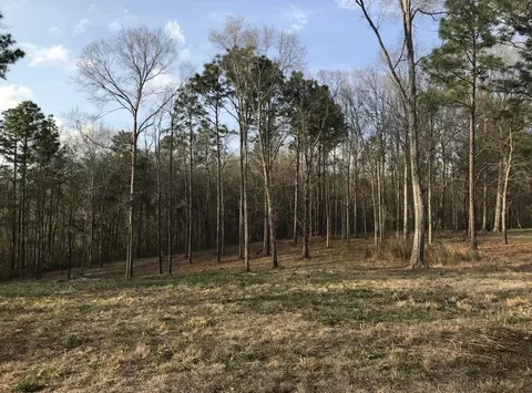 48 Blain Rd, Purvis, MS 39475 photo 1