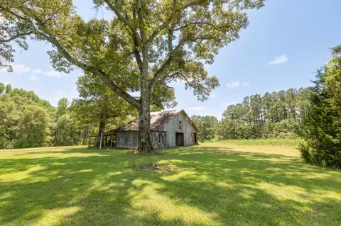 193 Nobles Rd, Sumrall, MS 39482 photo 29