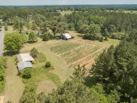 193 Nobles Rd, Sumrall, MS 39482 photo 41