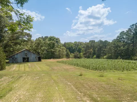 193 Nobles Rd, Sumrall, MS 39482 photo 40