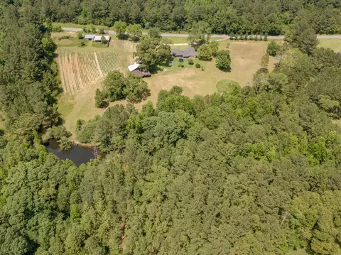 193 Nobles Rd, Sumrall, MS 39482 photo 5