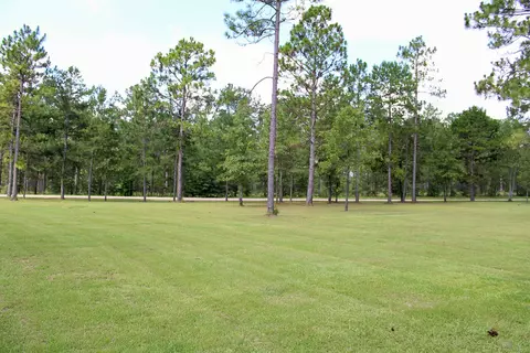282 Levi Bryant Rd, Lumberton, MS 39455 photo 16