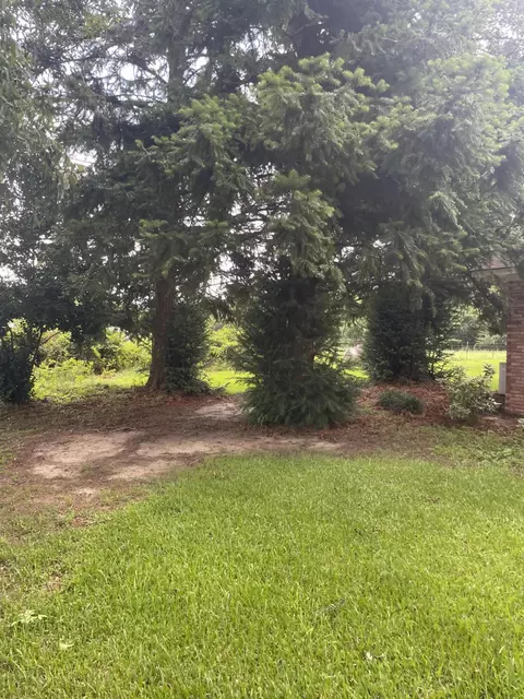 190 Pickwick, Foxworth, MS 39483 photo 51