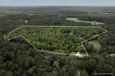 901 Oloh Rd, Sumrall, MS 39482 photo 82