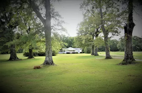 56 S Kittrell Loop, Beaumont, MS 39423 photo 39
