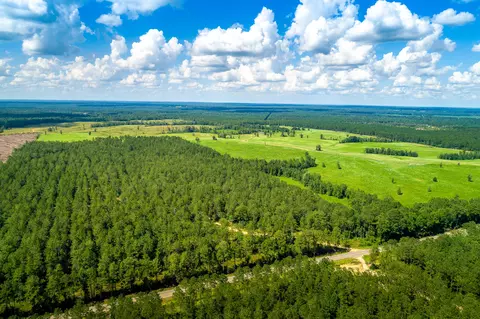 433 Acres Hwy 42, Sumrall, MS 39482