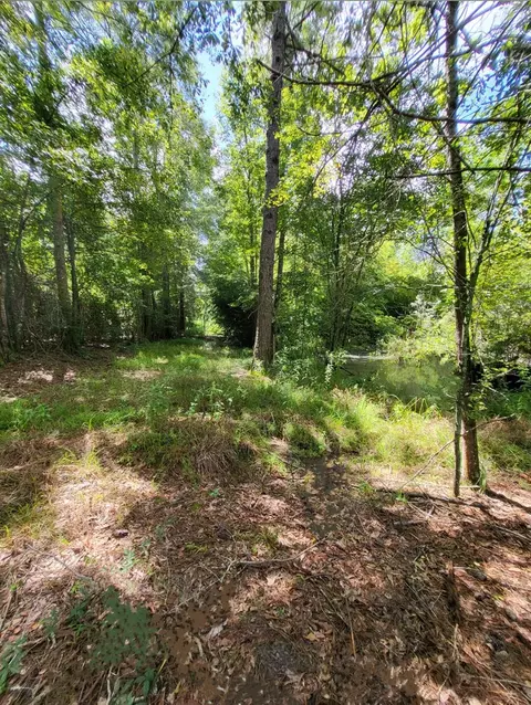 5409 S Hwy 49, Mount Olive, MS 39119 photo 7