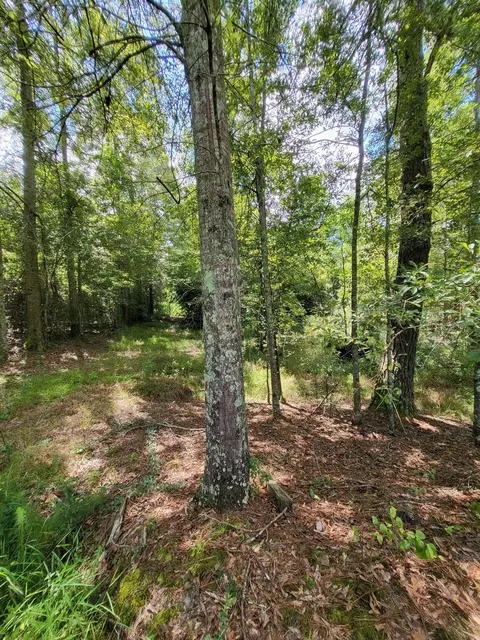 5409 S Hwy 49, Mount Olive, MS 39119 photo 8
