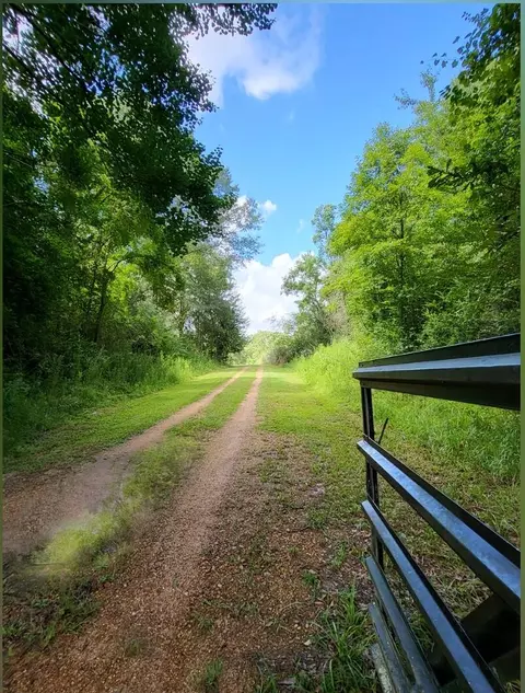 5409 S Hwy 49, Mount Olive, MS 39119 photo 6